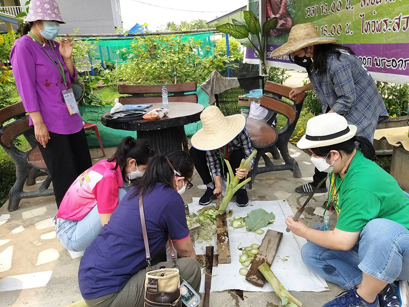 Developing skills in making of animal meals was made entirely of plants