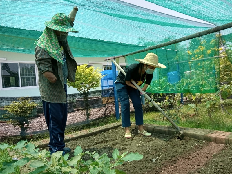 Demonstration of how to properly prepare vegetable plants