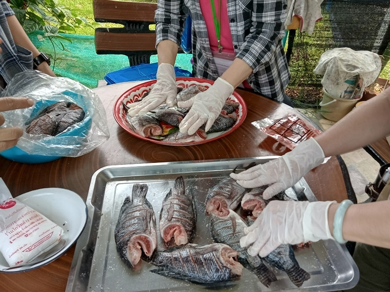 Practicing on "sun dried fish" preservation of food