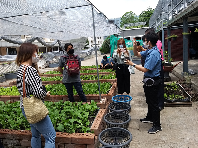 Outdoor activities on organic agriculture learning center for city people