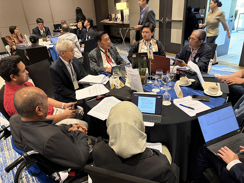 Picture 2: APCD Representative attended and shared his insights as well as provided recommendations during the workshop, especially focusing on strengthening community and its networks in order to protect persons with disabilities.