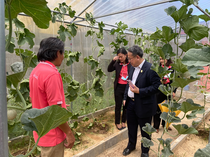 Exploring the melon farm cultivated by the Center.