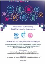 Policy Paper on Promoting Disability-Inclusive Employment Disability-Inclusive Employment and Business Project 2025